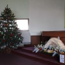 성탄절 행사~1 (2014.12.25)﻿ 이미지