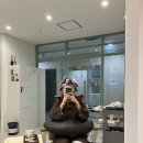 ☁️ 고양 화정 미용실 추천 <프롬여름> 구름펌 후기 🤍