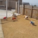 개편한집 이미지