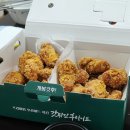 갓튀긴후라이드반송 - 15737 | 갓튀긴후라이드반송