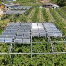 금천영농 이미지