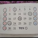 대기가스충전소 | 전남 구례 오일 시장 맛집. 지리산 오여사. 내돈내산 솔직후기. 구례 산수유꽃 축제 맛집. 시장 맛집 투어.