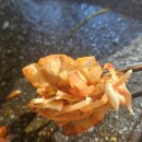 성북-길음-3397 이미지