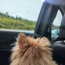 댕그라운드 이미지