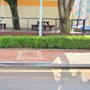 생활속의 조경이야기 이미지