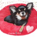 강아지그림