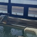 생수사우나 이미지