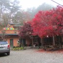 채락산장 이미지