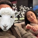 북경,영빈관 | 신라호텔 더 파크뷰 평일 디너 후기