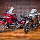 골드윙(GOLD WING)
