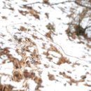 두지농장 이미지