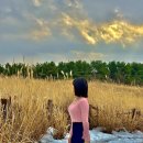 립스틱해물뚝배기 | 제주도 성산 서귀포 3박4일 여행일정•여행지추천•여행경비•또간집 음식점