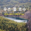 카투맨 이미지
