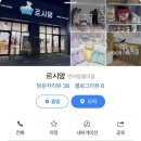 르시앙 수성점 | 수성구 애견미용 / 범어동 애견호텔 “르시앙” 후기