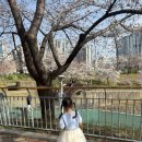 동구리 저수지 위 공원 | 화순동구리호수공원 벚꽃사냥 성공 후기