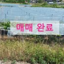 승지농장 이미지