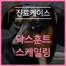 민락동물병원 이미지