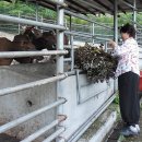 서당골 농장 이미지