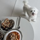 포댕포댕 이미지