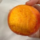 내돈내산 임산부복숭아추천‘그린황도’ 금강농원 물복황도 진짜맛있음!!!