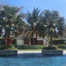 송아목장 | 여름 하