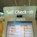 630 | 대한항공 발리 직항 KE633 KE630 탑승후기 기내식좌석배치도 공유
