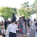 2023 청도 펫티켓 문화콘서트 이미지