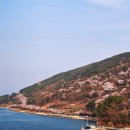 노량 해안도로길 | 🌸 [남해] 바다 위 분홍빛 터널, 2026 왕지벚꽃길 실시간 현황 &amp; 드라이브 코스