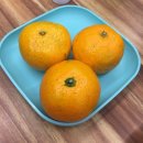 최해란공주찜닭 이미지