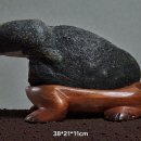 증류(蒸溜)하는 몸/ 물형석 이미지