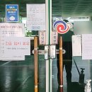 사우로 L 이미지