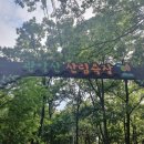 인라인롤러경기장 화장실 이미지