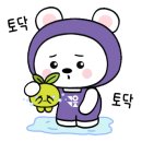 짐앤줌바 이미지