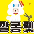 깔롱펫 이미지