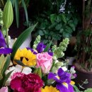 썬안경원 이미지