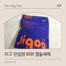 파워세탁 | 친환경세탁세제, 유아세탁세제 지구 천일염 파워 캡슐세제 실사용 후기