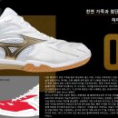 210050 | 미즈노 배드민턴화 Mizuno Wave Fang | Wave Fang Pro | 미즈노 민턴화 리뷰 사용후기