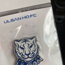 디아이스토어 - 속초시 | 울산 HD FC 상설 스토어 방문 후기