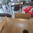 꽃바위치과 네이버블로그