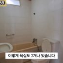 G1159 이미지