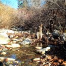 둥지광택 이미지