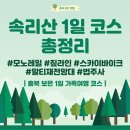 강서고건너편 페달로 옆 | 속리산 1일 여행코스 추천｜테마파크·말티재전망대·법주사 알차게 즐기기