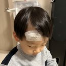 똥깡아지 이미지