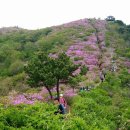 2015년 4월 정기산행 신청 - 한국지엠 창원산악회 합동산행 (창원 비음산) 이미지