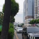 유림-1111 이미지