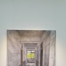 그늘과 빛의 기억  이미지