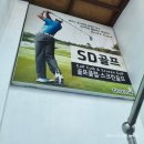 [서울/마포] 골프는 시작이 반! 홍대 실내 스크린 골프 레슨이 있는 SD골프클럽 후기