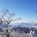 강원도 태백 함백산 눈구경하고 힐링하세요. 이미지