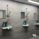 크로스핏 스프링캠프 이미지