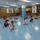 태권박사 체육관 이미지